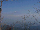 11020014_thumb.png