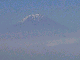 11020015_thumb.png