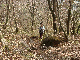 11020027_thumb.png