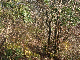 11020031_thumb.png