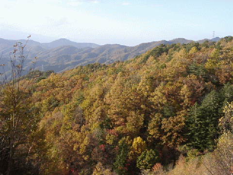 10260024.gif