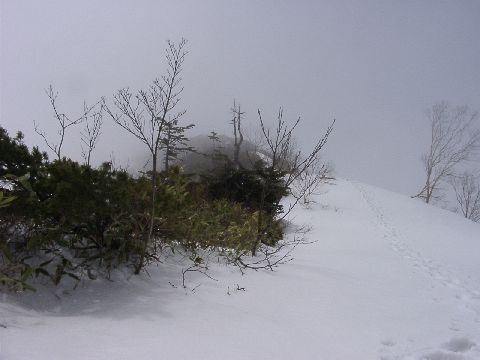05160016.jpg