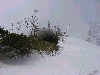 05160016_thumb.png