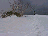 05160017_thumb.png