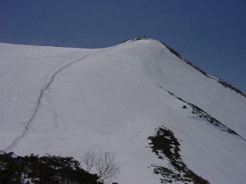 05160028.jpg
