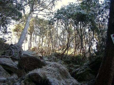 11210011.JPG