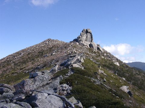 11210024.JPG