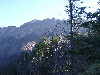 10240014_thumb.png
