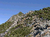 10240029_thumb.png