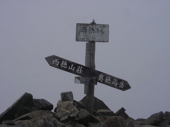 10240048.jpg