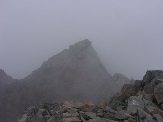 10240049.jpg