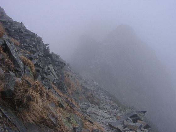 10240050.jpg