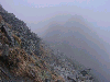 10240050_thumb.png