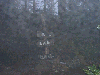 10250001_thumb.png