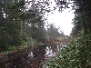 10250008_thumb.png