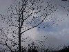 10250012_thumb.png