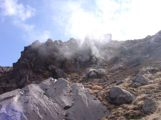 10250036.jpg