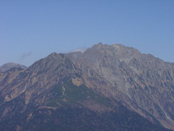 10250041.jpg