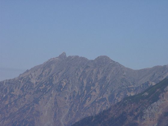 10250042.jpg