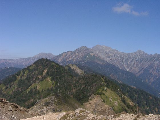 10250051.jpg